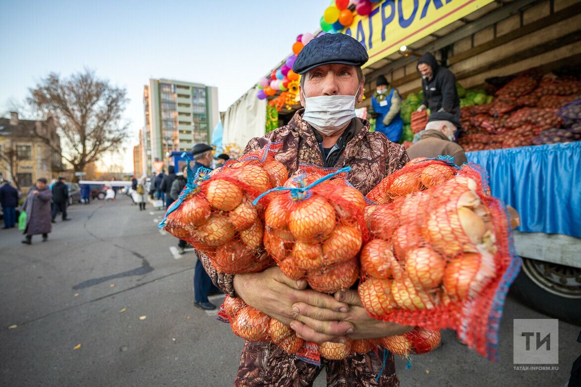 Лук: простой продукт с мощными антираковыми свойствами, который есть в каждом доме