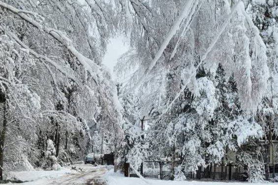 Снежный коллапс случился в Тверской области: более 20 сел остались без света и связи