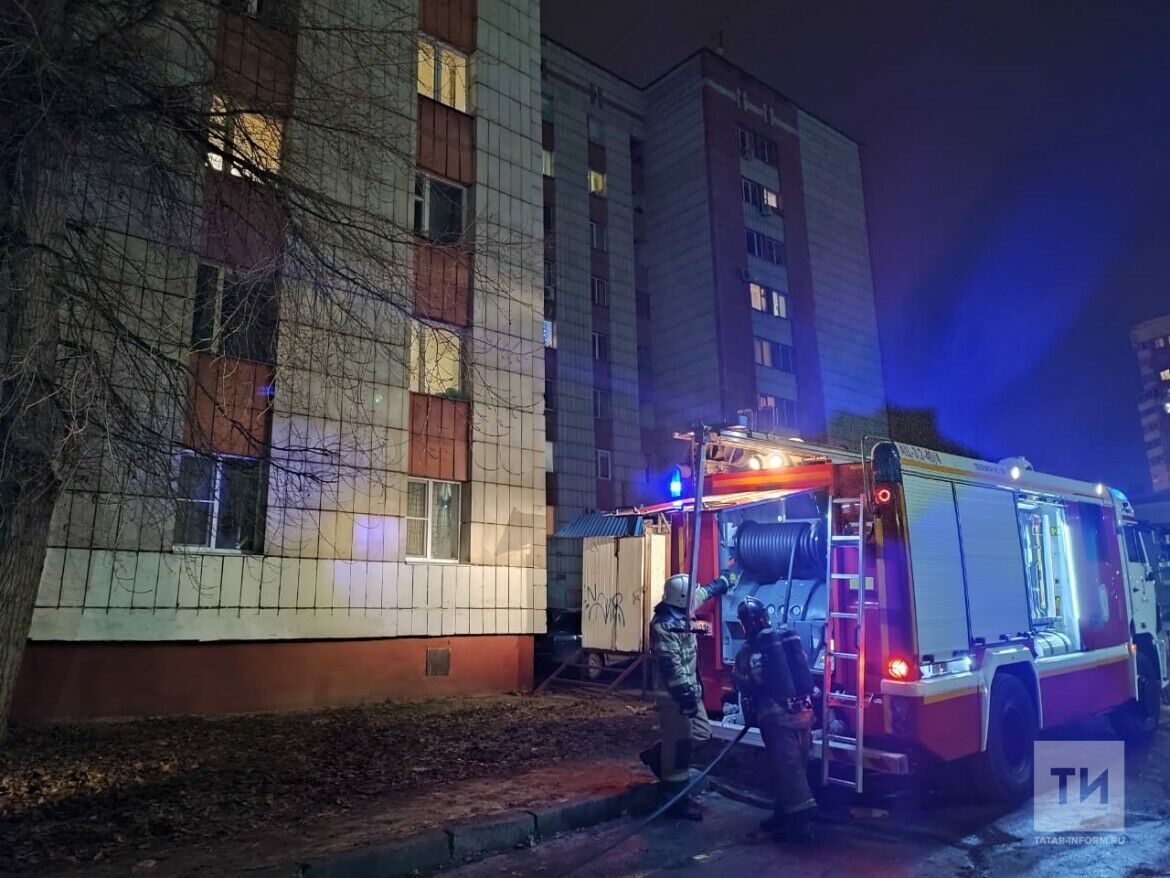 В Набережных Челнах пожар в квартире начался с загоревшегося кошачьего лотка