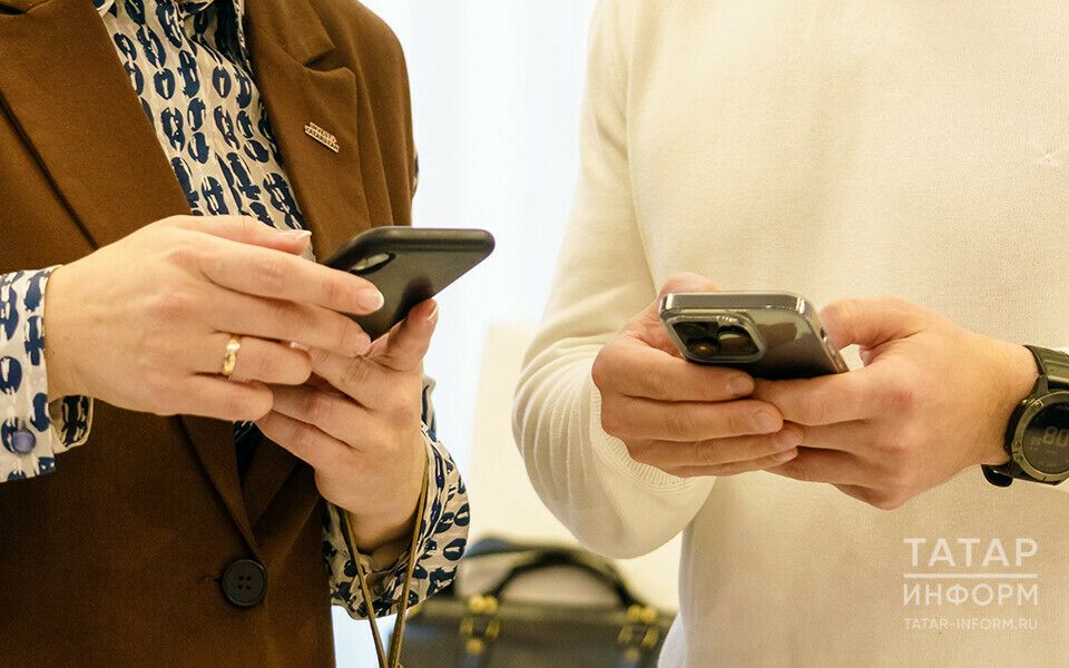 В МФЦ напомнили о возможностях сервиса «Мобильный избиратель»