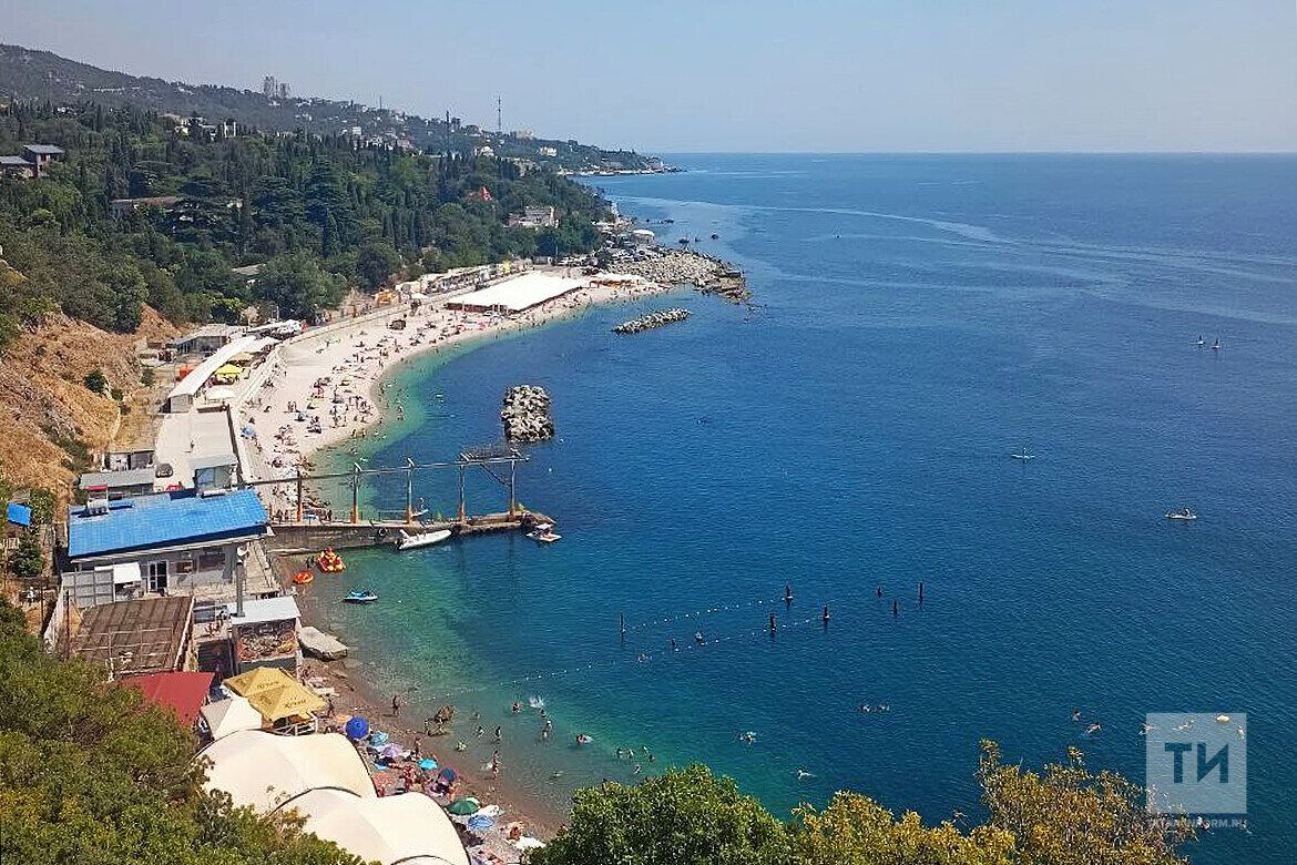 В Крыму объявили вознаграждение охотникам, поймавшим морского хищника длиной до двух метров