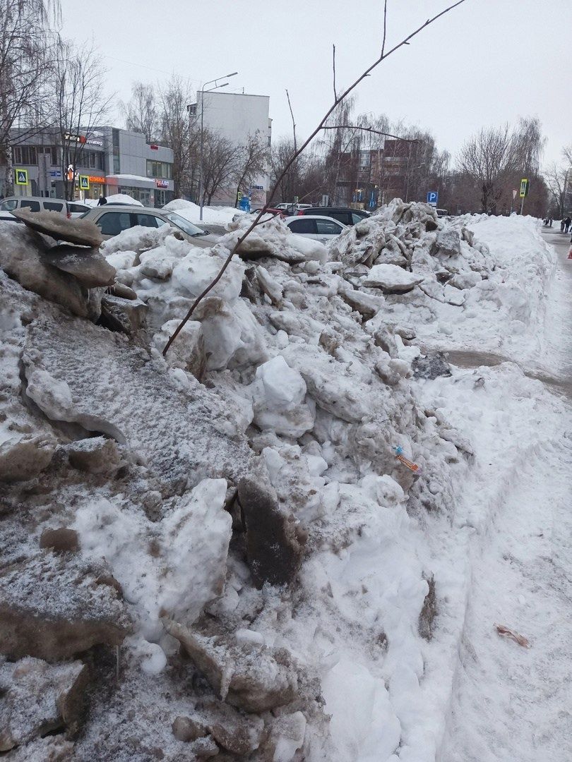 Челнинцы жалуются на заваленные снегом посаженые деревья