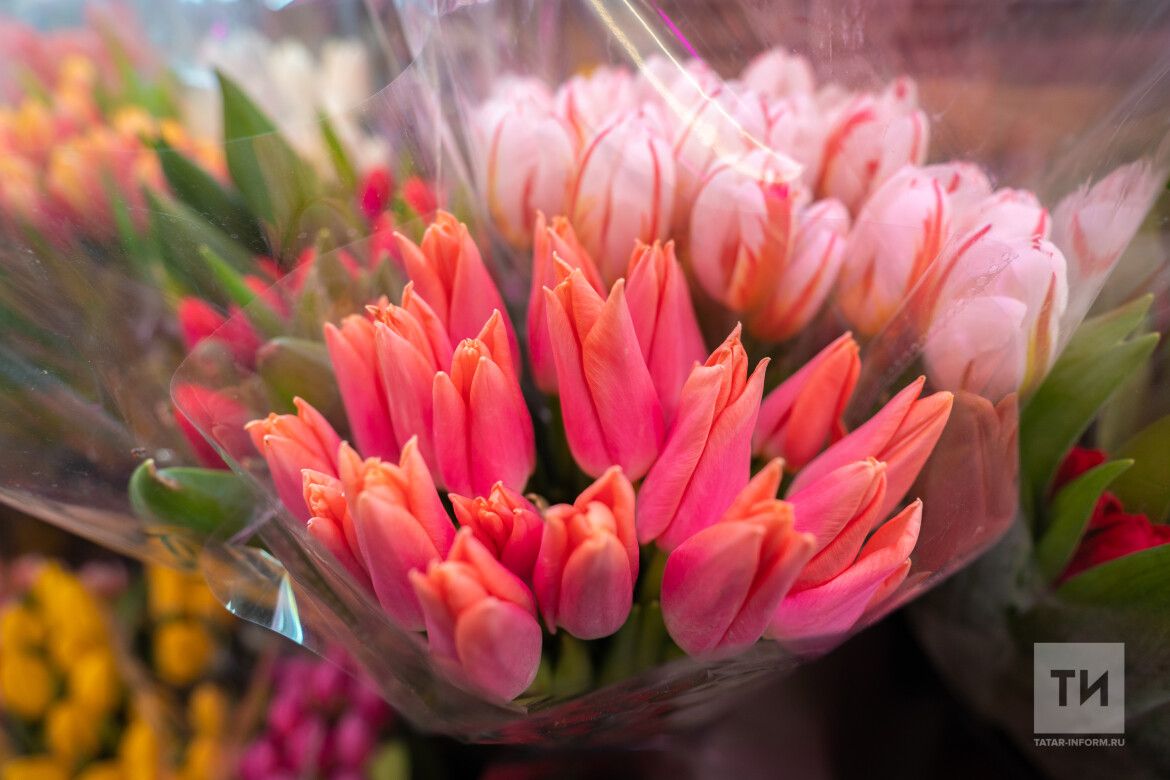 В Госдуме предложили запретить повышать цены на цветы перед 8 марта