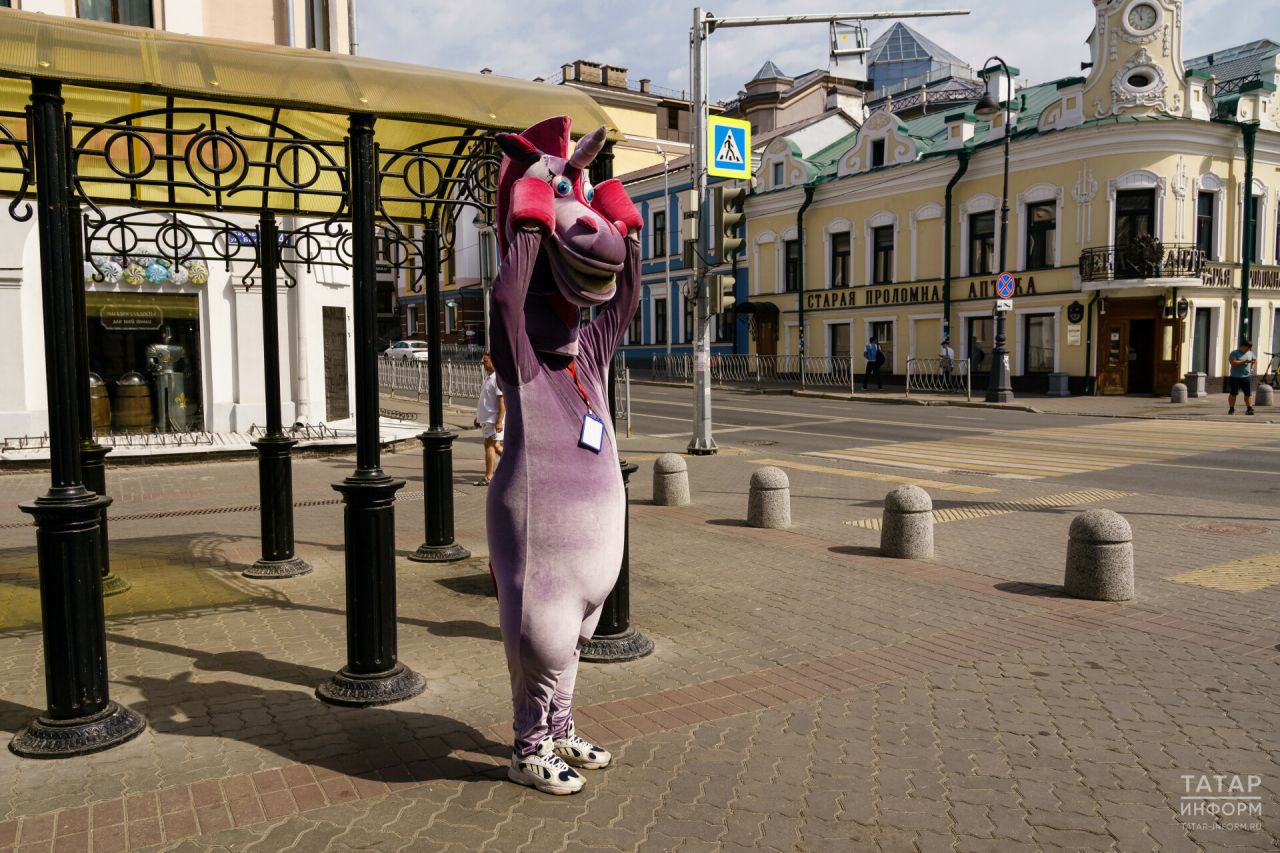 Стало известно, какие правила для аниматоров и уличных торговцев приняли в Казани