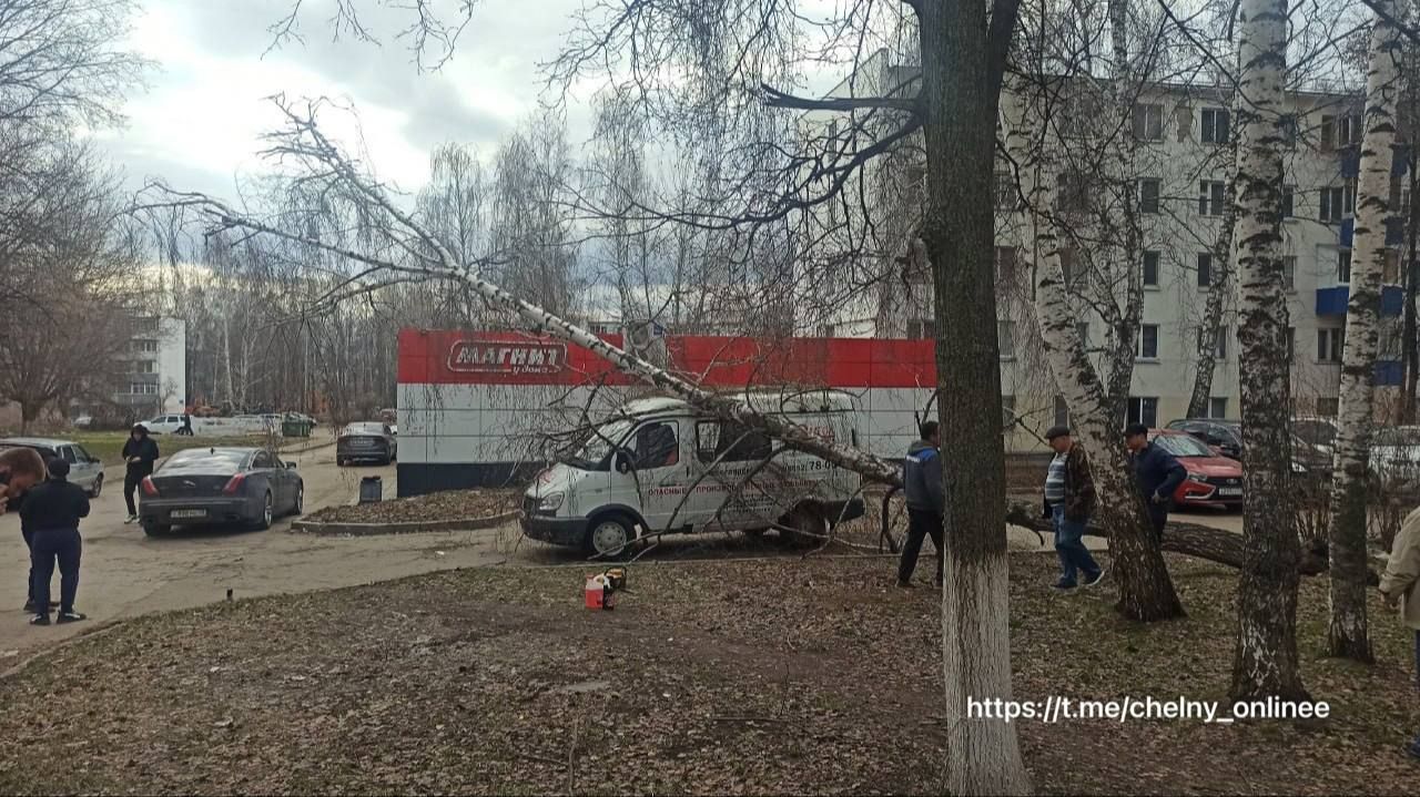 В Набережных Челнах на «ГАЗель» упало дерево