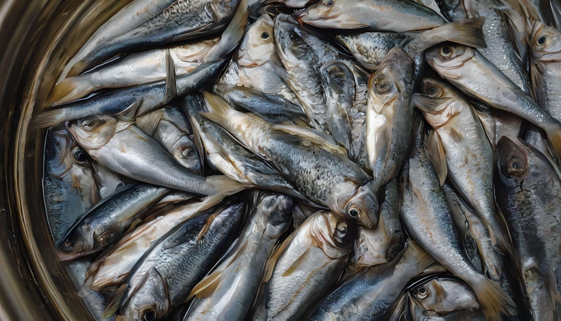 В Татарстане обнаружили крупное предприятие которое нелегально производило рыбные консервы