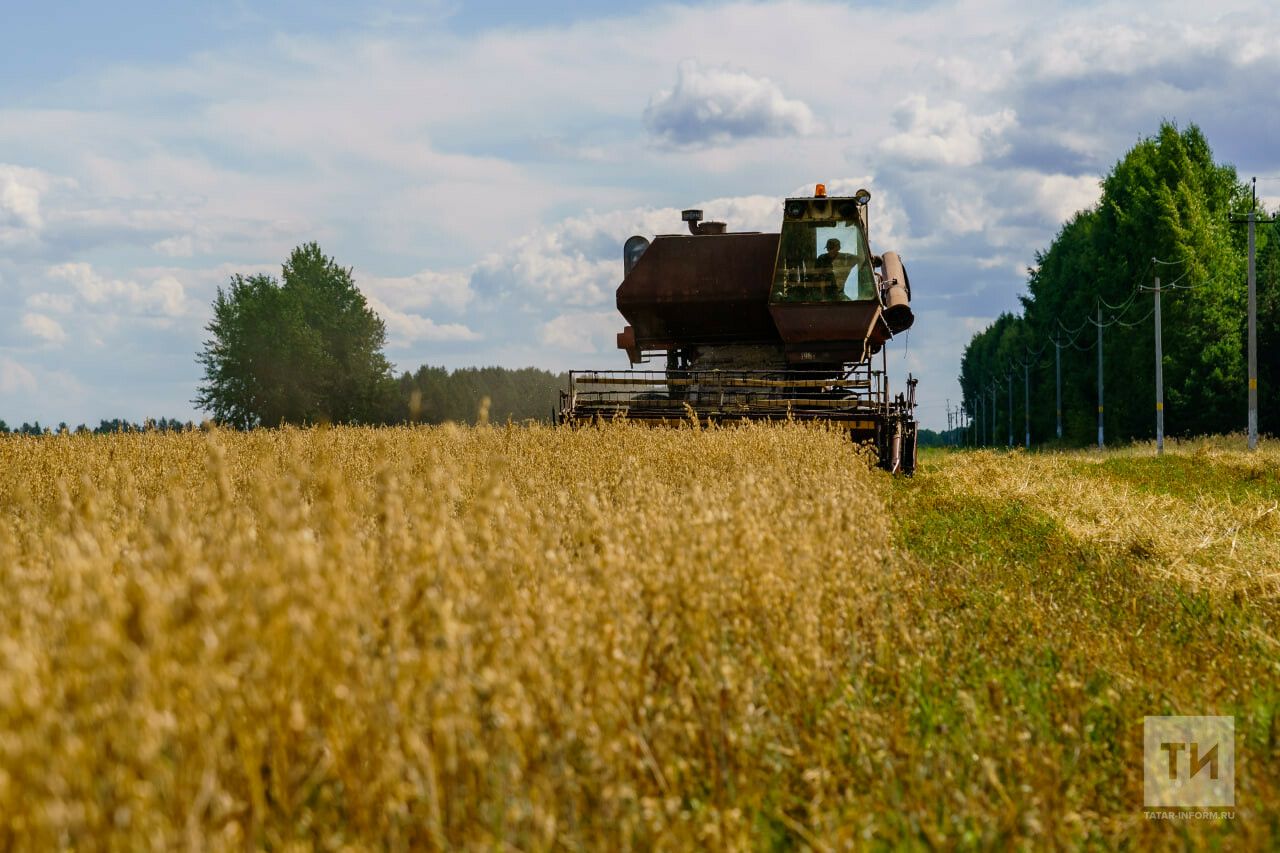 В Татарстане наблюдается нехватка кадров в отрасли сельского хозяйства