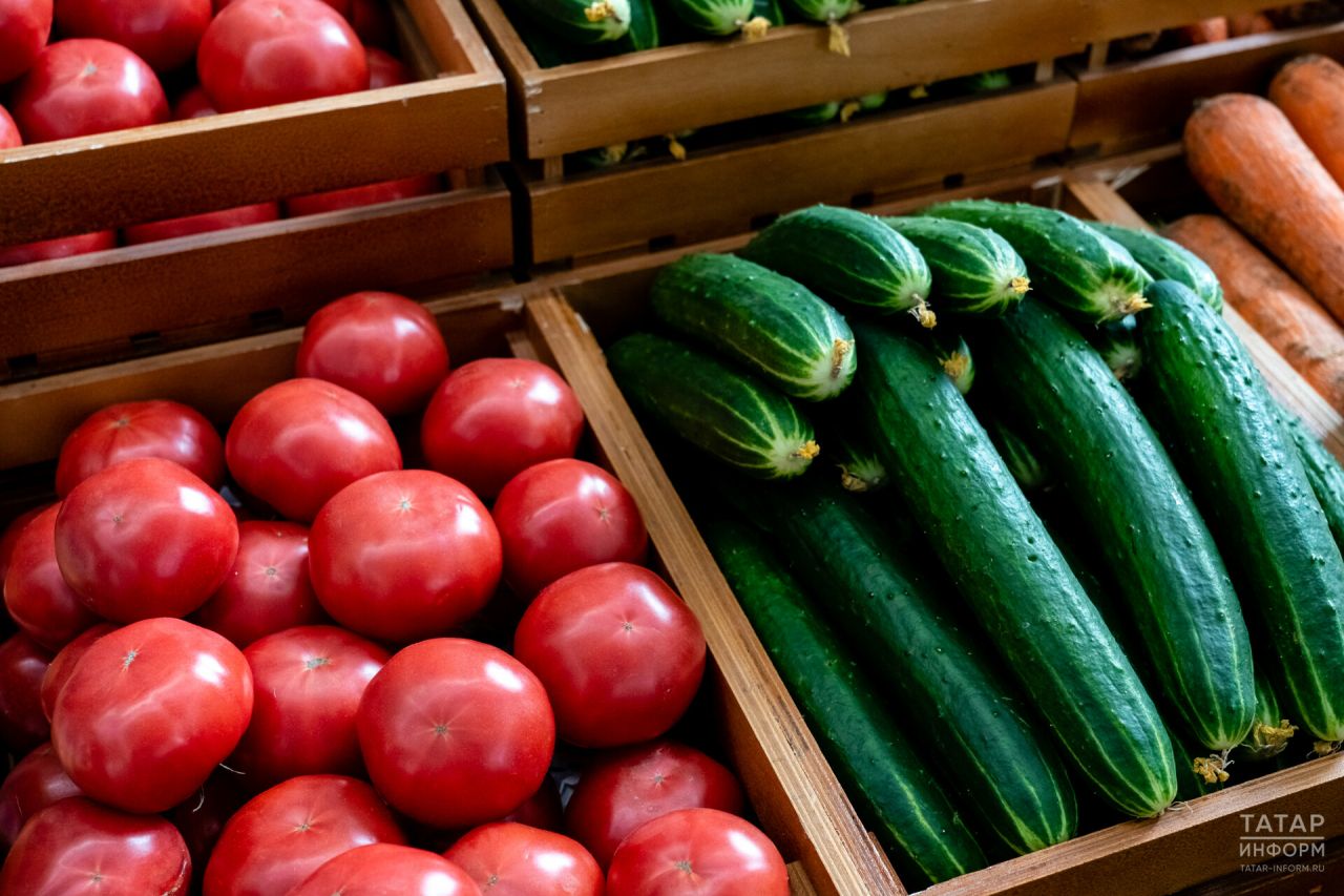 Стоимость овощей в РТ за год увеличилась на 23%
