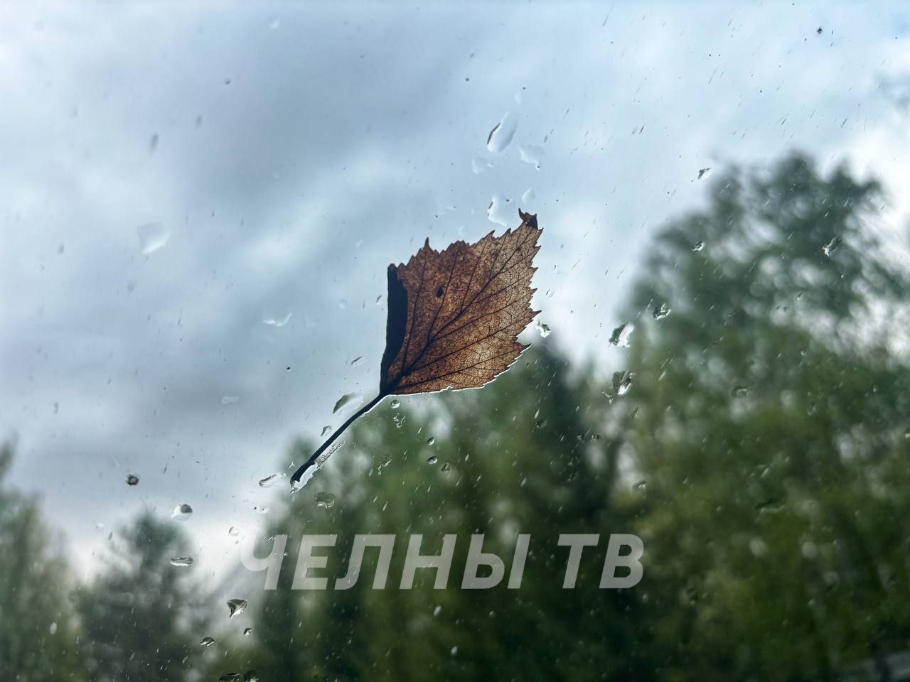 В Татарстане прогнозируется дождливый день с сильным ветром и +13 градусов днем