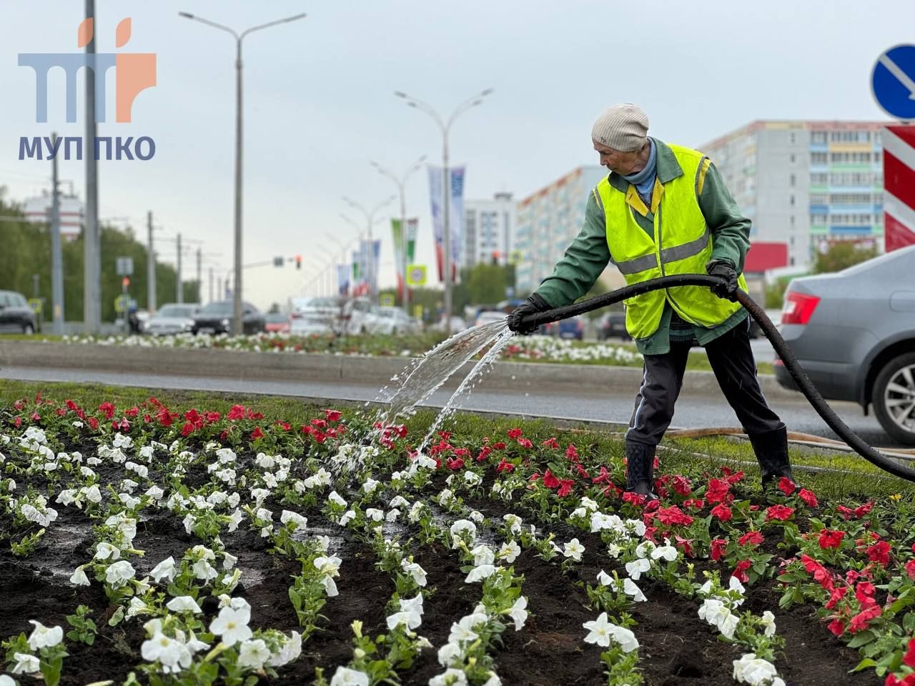 В Набережных Челнах высадят более 500 тысяч цветов