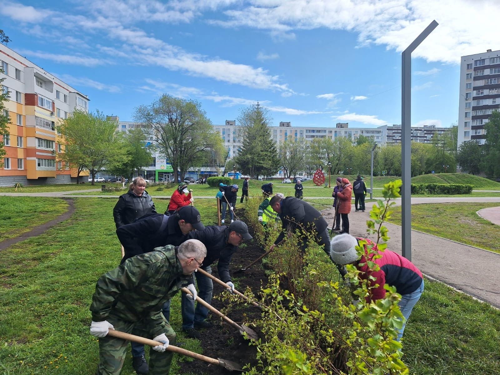 В Челнах на Шишкинском бульваре появилось 350 кустарников