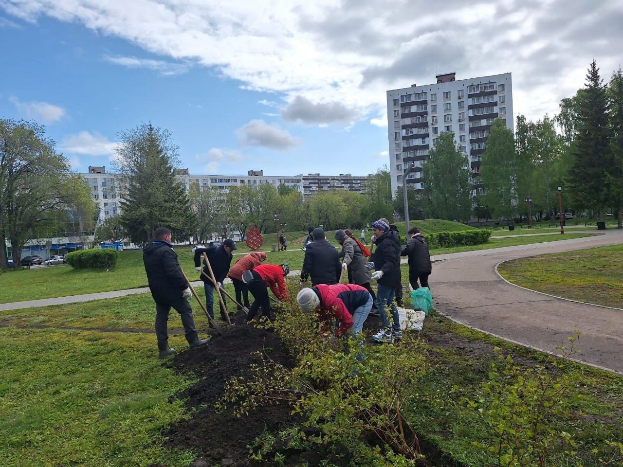 В Челнах на Шишкинском бульваре появилось 350 кустарников