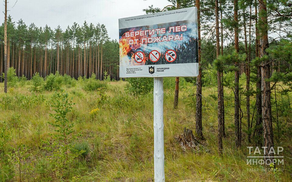 В Татарстане объявлено штормовое предупреждение о высокой пожароопасности лесов 4-го класса