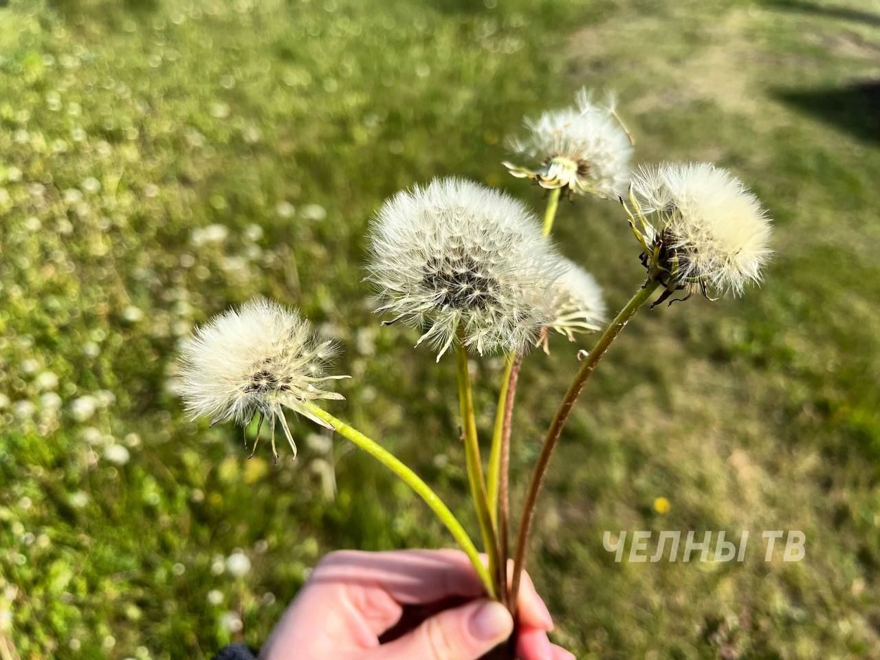 Синоптики рассказали, какая погода ожидается в последние дни мая в Татарстане