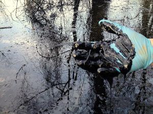 Экологическая катастрофа в Татарстане: 900 квадратов земли загрязнены нефтью