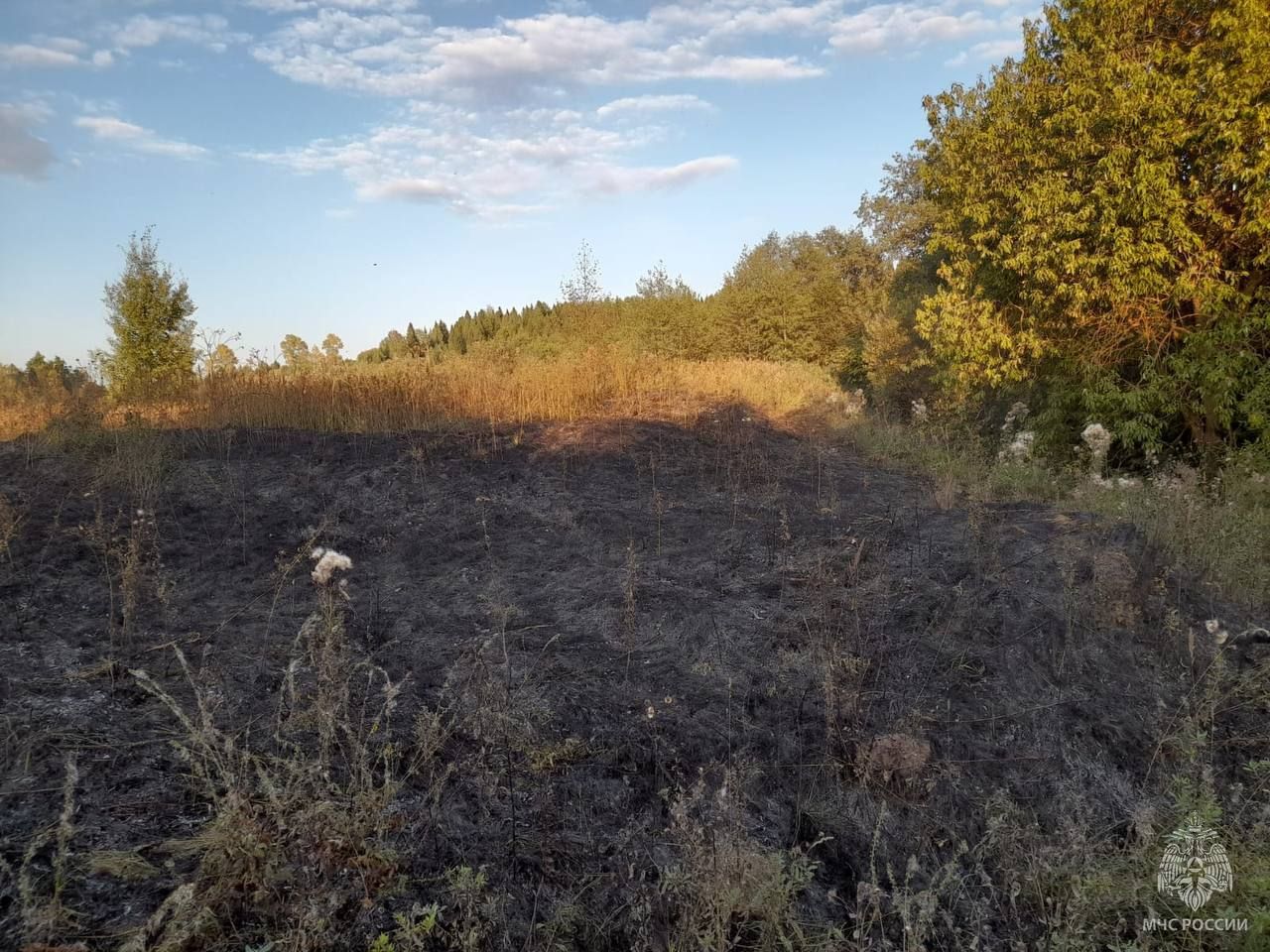 В Кировской области сигнальный патрон стал причиной пожара на поле