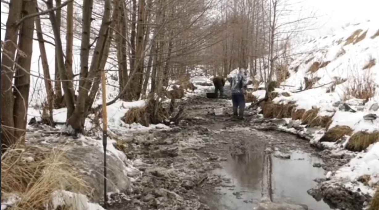 В Татарстане произошел массовый мор рыбы