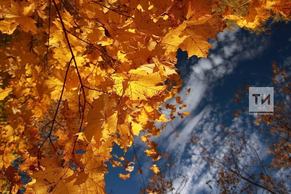 Последний тёплый день осени в Татарстане: до +19°C перед похолоданием