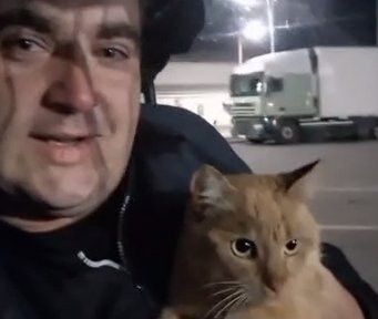 Дальнобойщик развёлся с женой из-за пропавшего кота, но пушистый вернулся