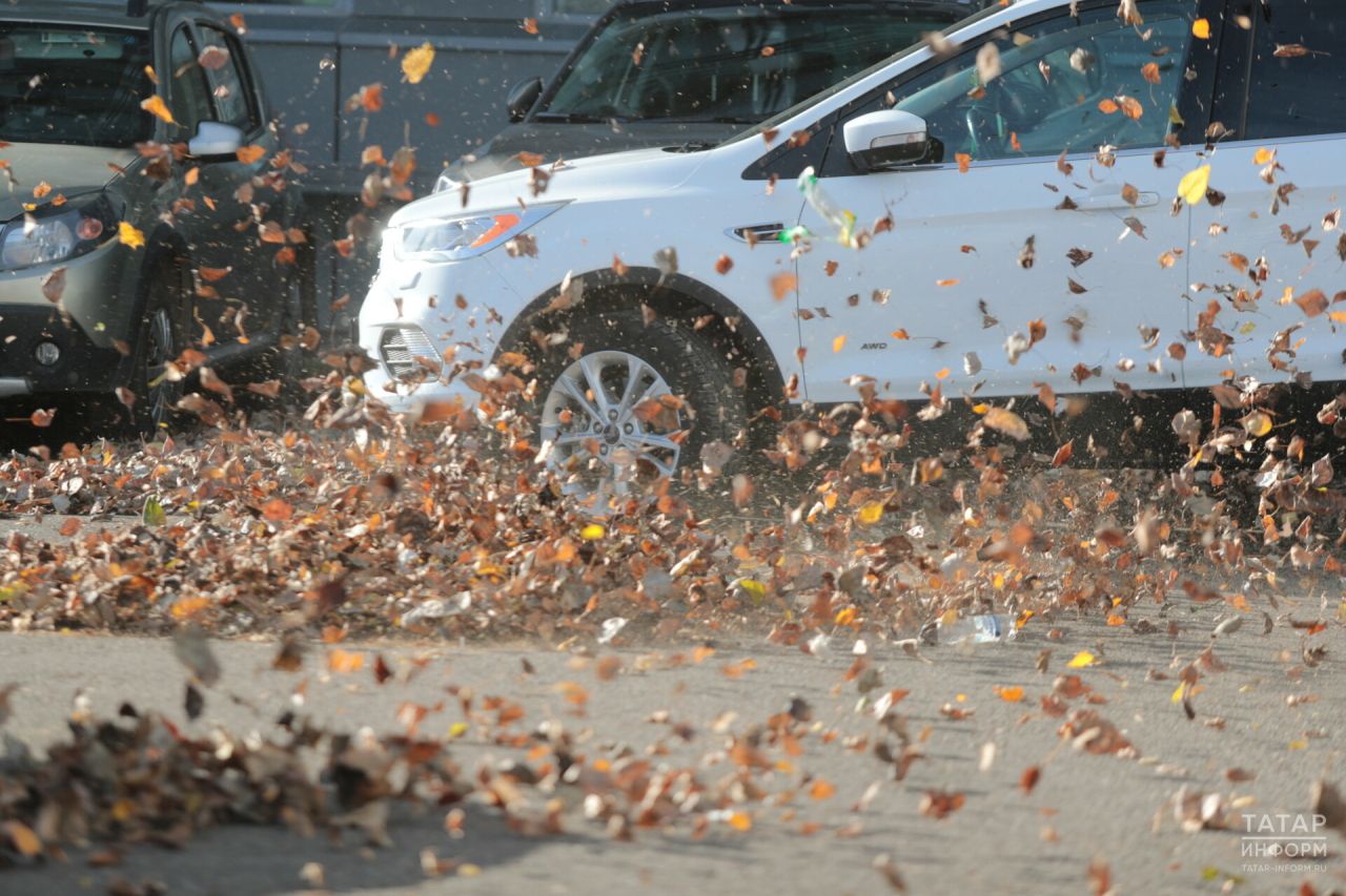 В Татарстане до +10 градусов и туман: прогнозируют теплую и дождливую погоду