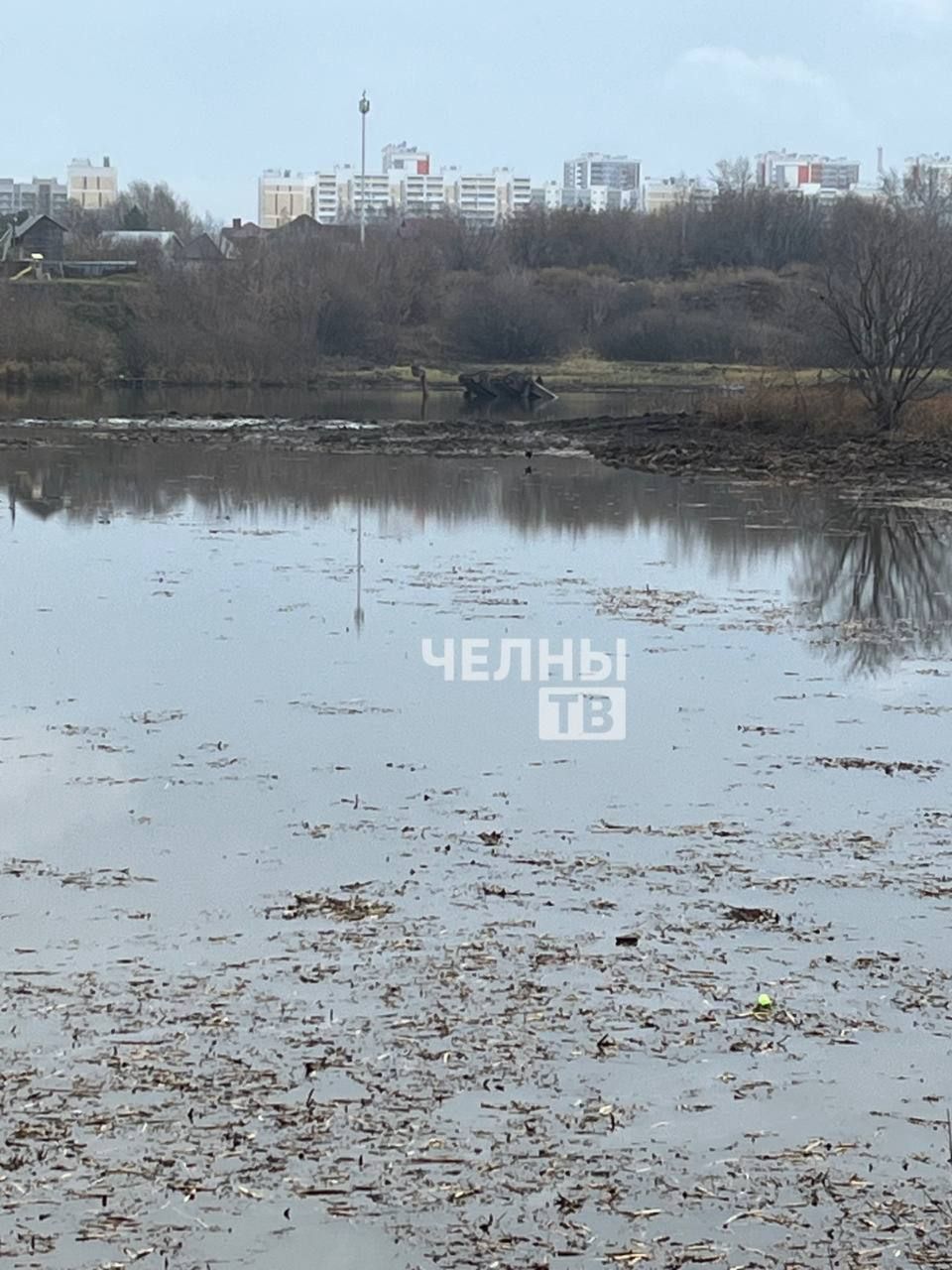 В Челнах тело водителя экскаватора, утонувшего в Мелекеске, пока не найдено