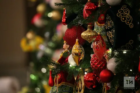 В России жильцов предупредили о штрафе за новогодние украшения в подъезде