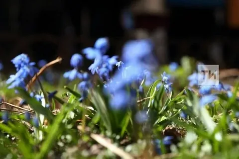 Аномальное тепло до +9° ожидается в Татарстане к выходным