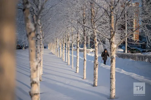 Климатолог: зима в Татарстане будет тёплой, холод ожидается только в декабре