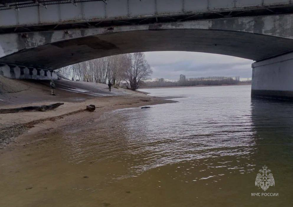 В Казанке у Кировской дамбы обнаружили тело мужчины