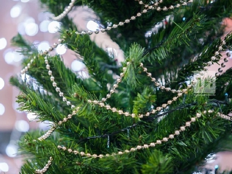 На главной ёлке Челнов будут дежурить более 200 силовиков