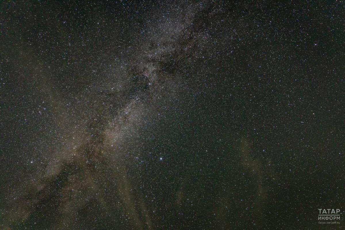 Жители Татарстана увидят первый звездопад астрономической зимы