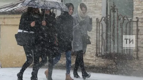 Сегодня самый короткий день в году — дальше световой день будет расти