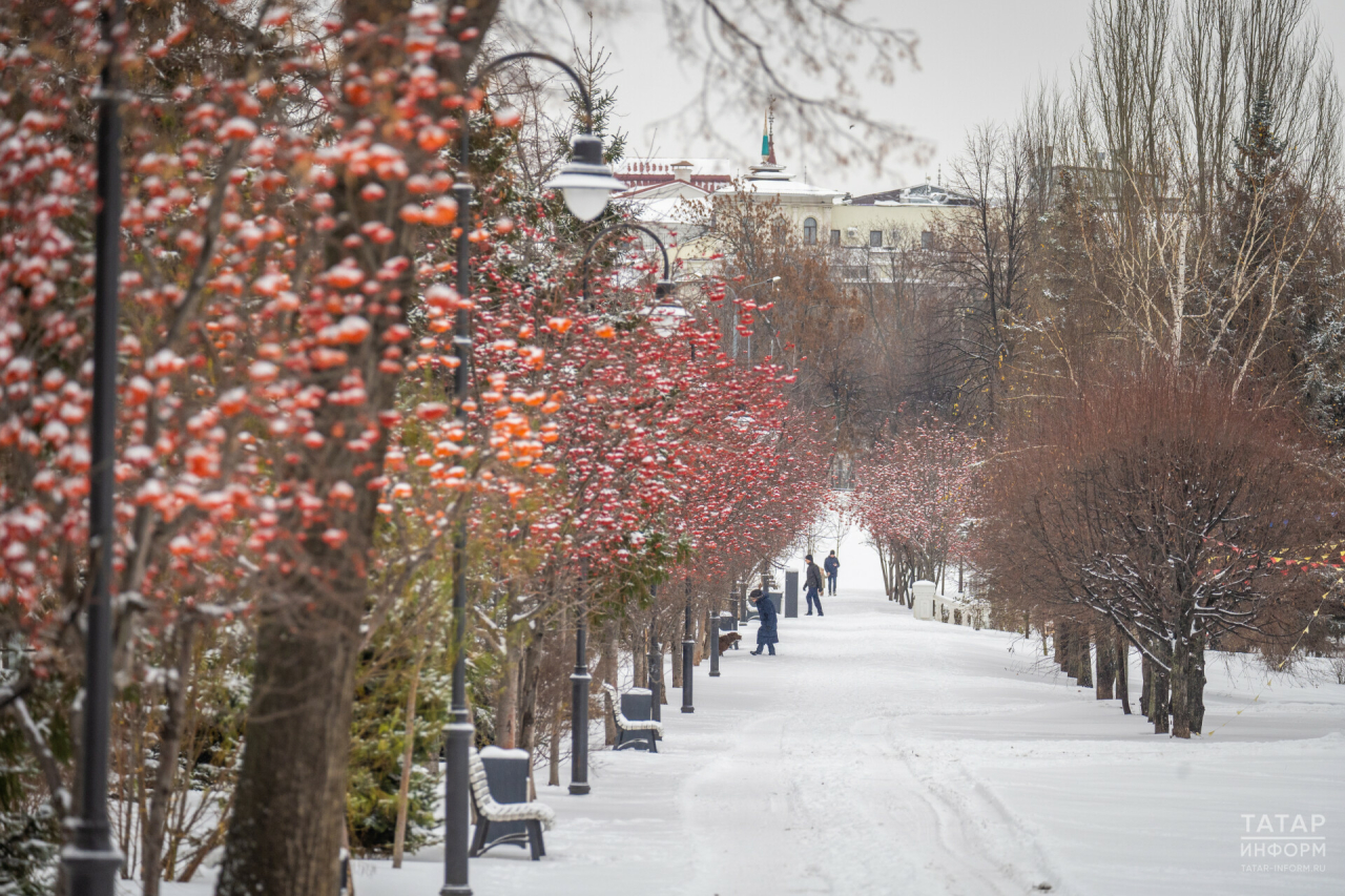 Прогноз погоды в Набережных Челнах на 27 декабря