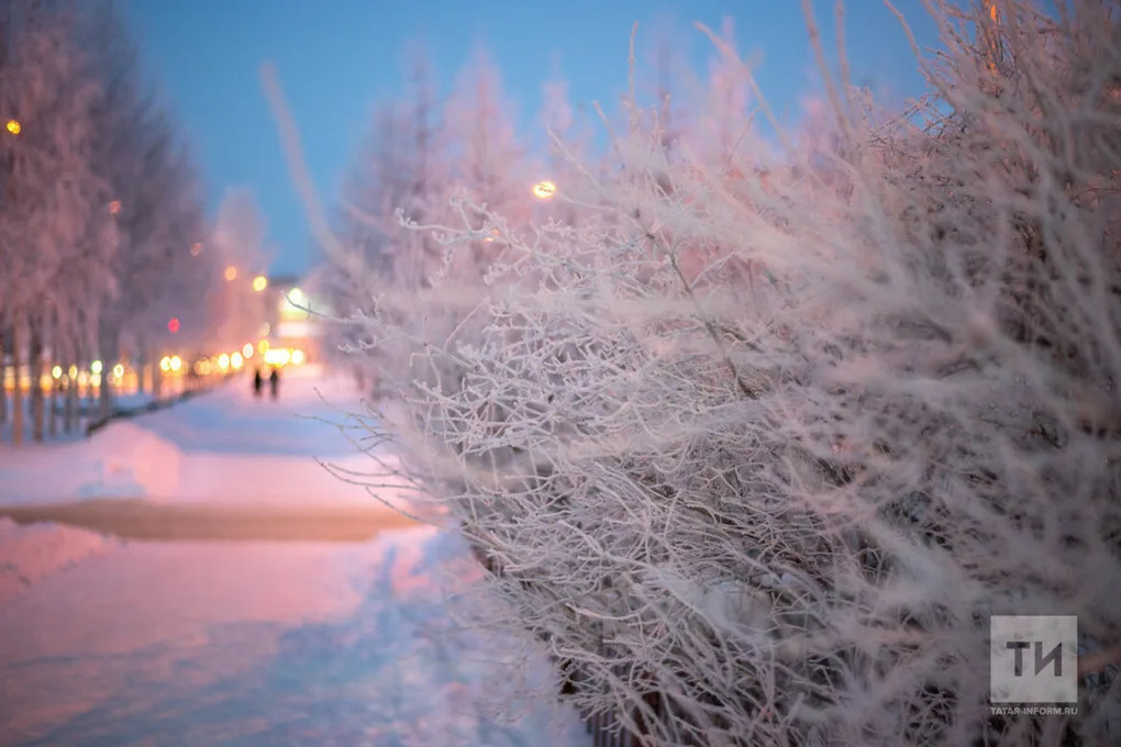 Прогноз погоды в Набережных Челнах на 29 декабря