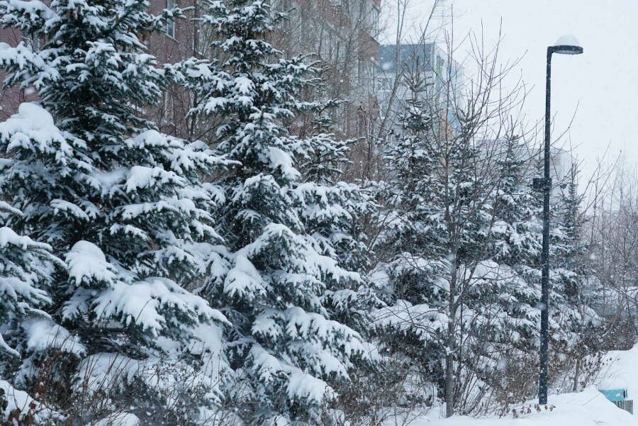 Прогноз погоды в Набережных Челнах на 30 декабря