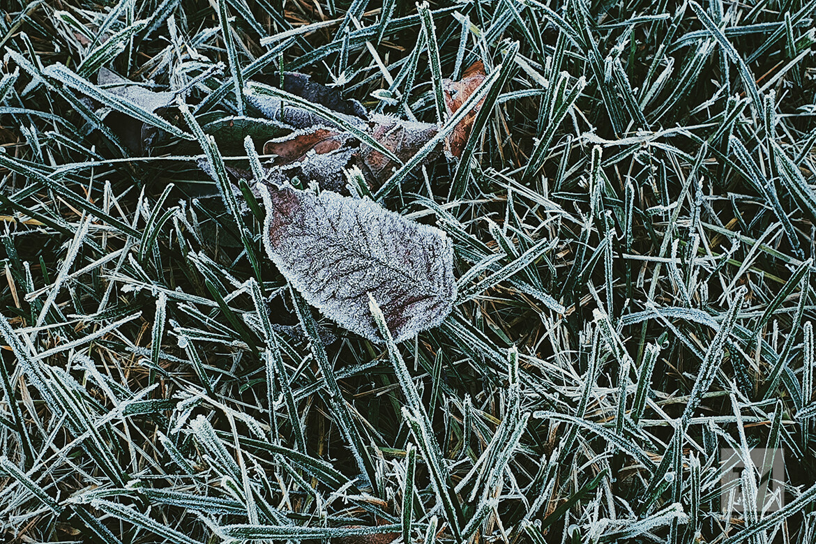 Прогноз погоды в Челнах на 8 декабря: резкое похолодание и крепкий мороз