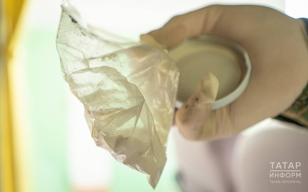 В Набережных Челнах ликвидирован интернет-магазин по продаже наркотиков