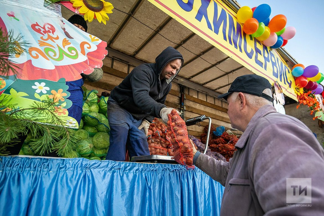 Мёд, мясо, овощи: в Набережных Челнах открылась сельхозярмарка