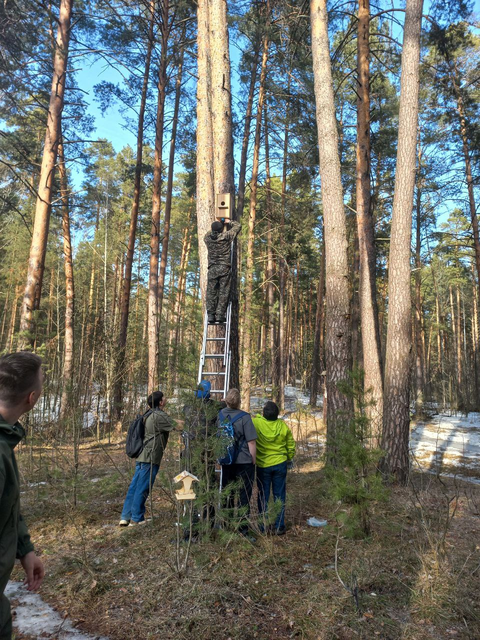 В Челнах развесили скворечники и синичники в честь Дня птиц