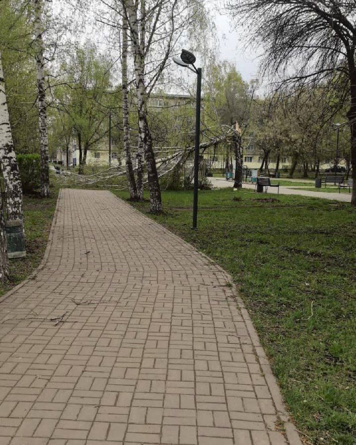 В Бугульме упавшее дерево стало причиной гибели мужчины