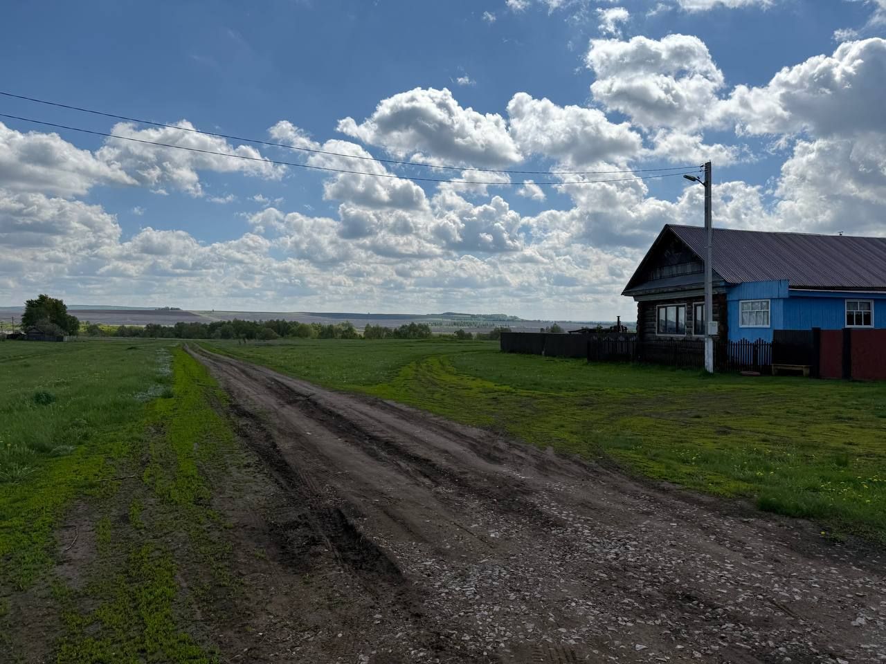 Многодетным семьям выделят землю в Мензелинском и Муслюмовском районах