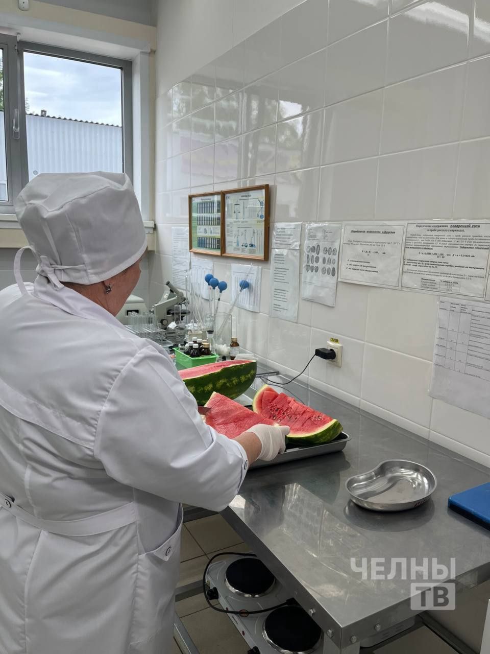 В Набережных Челнах началась продажа арбузов с проверкой на нитраты