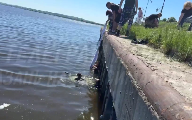 В Казани коляска с младенцем упала в реку — родители отвлеклись на фото