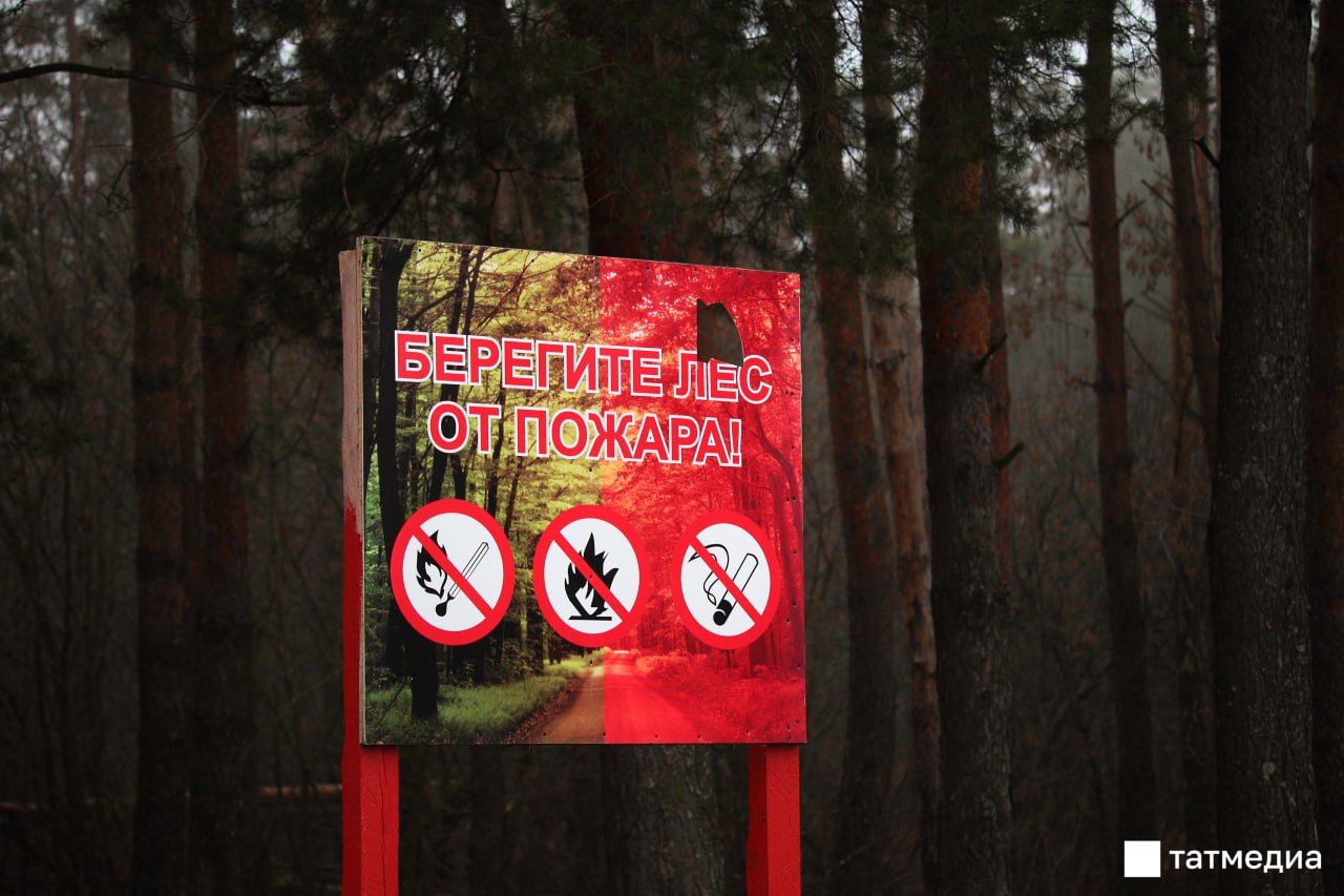 В Татарстане выросло число лесных возгораний из-за жары и халатности