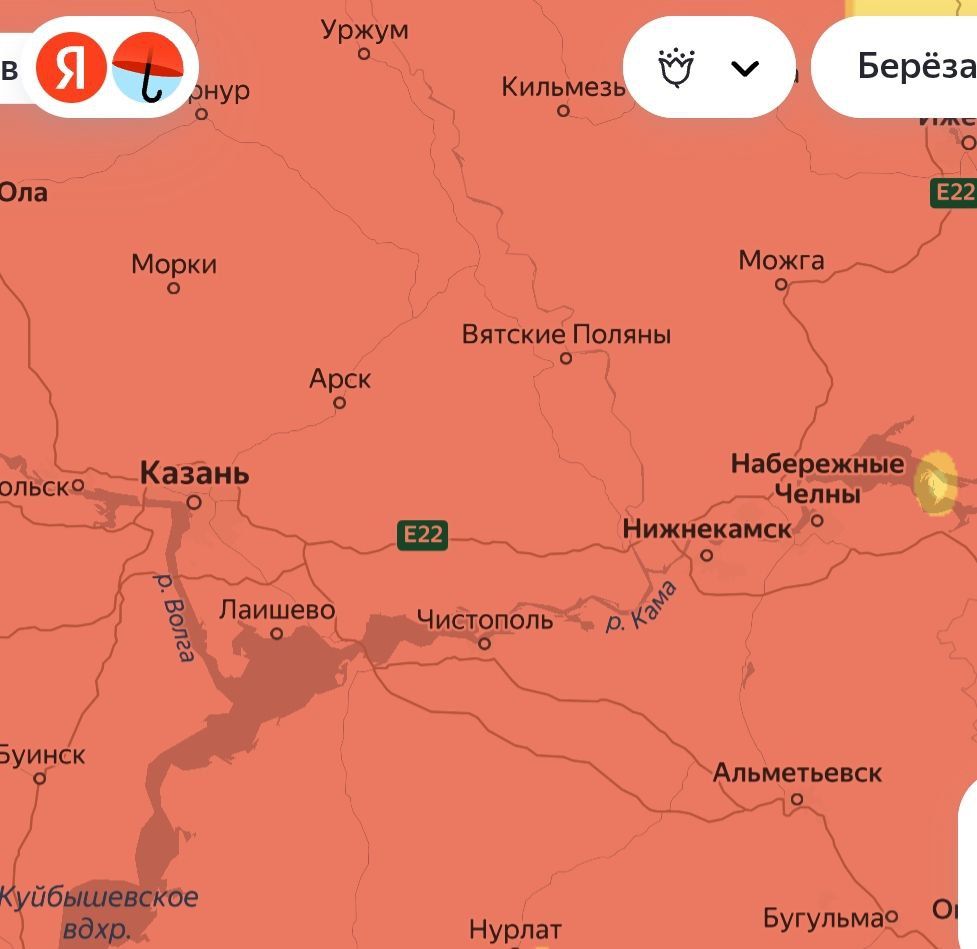 В Татарстане до 13 мая сохранится высокий уровень пыльцы берёзы