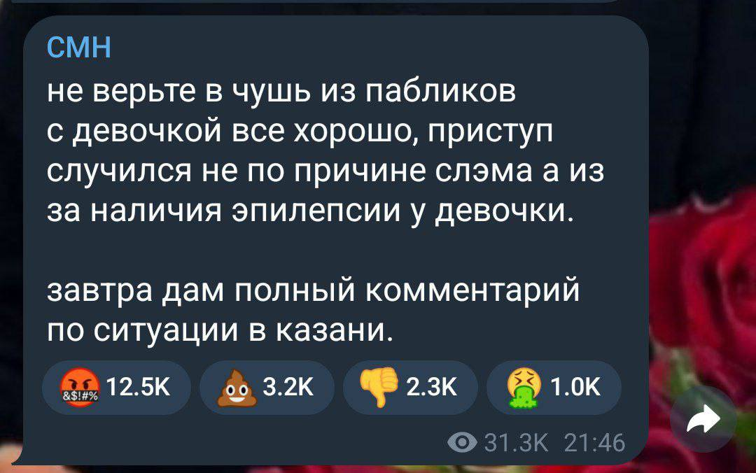 Инцидент на концерте СМН в Казани дошёл до Мизулиной и МВД