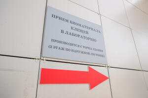 Почти 6 тысяч жителей Татарстана пострадали от укусов клещей