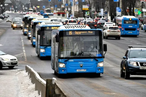 В России предложили сделать бесплатный проезд для студентов-очников
