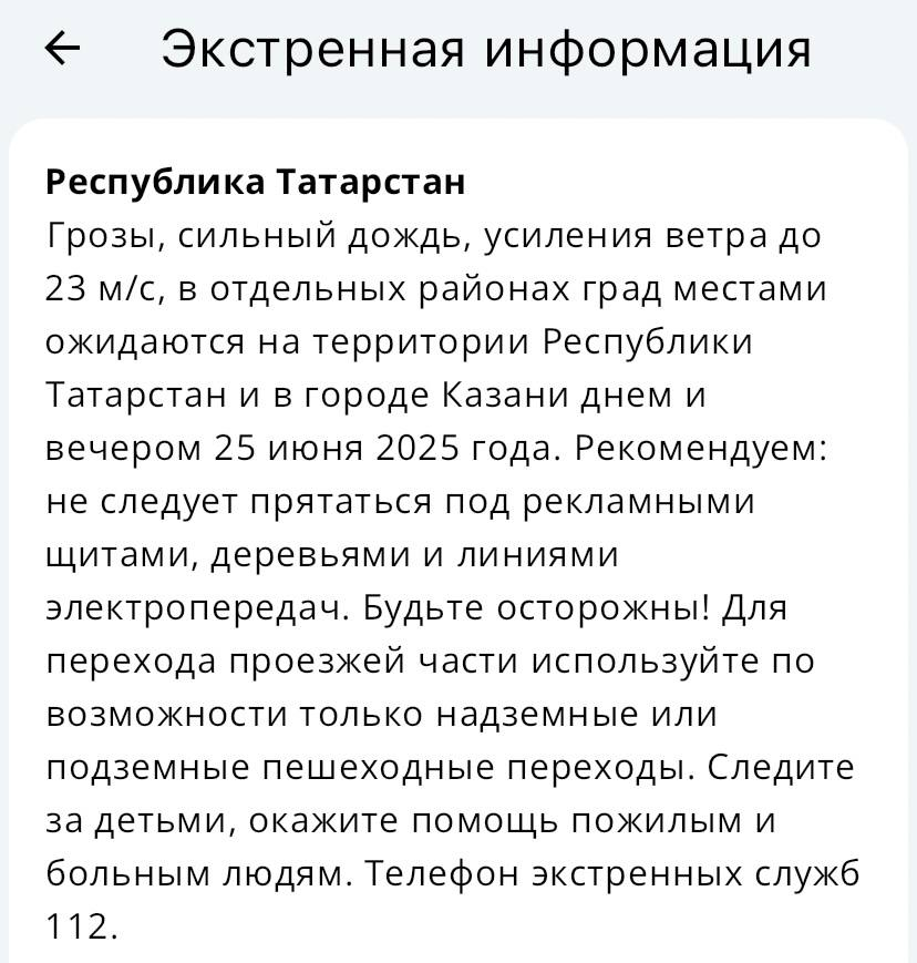 В Татарстане 24 июня ожидаются грозы, ливни и шквалистый ветер до 23 м/с
