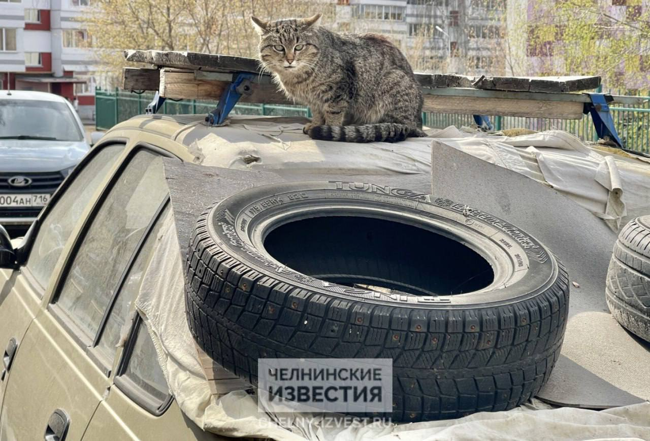 В Челнах подросток сбросил шину с 25 этажа — ущерб 601 тысяча рублей
